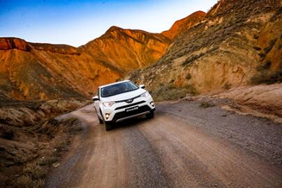 RAV4s